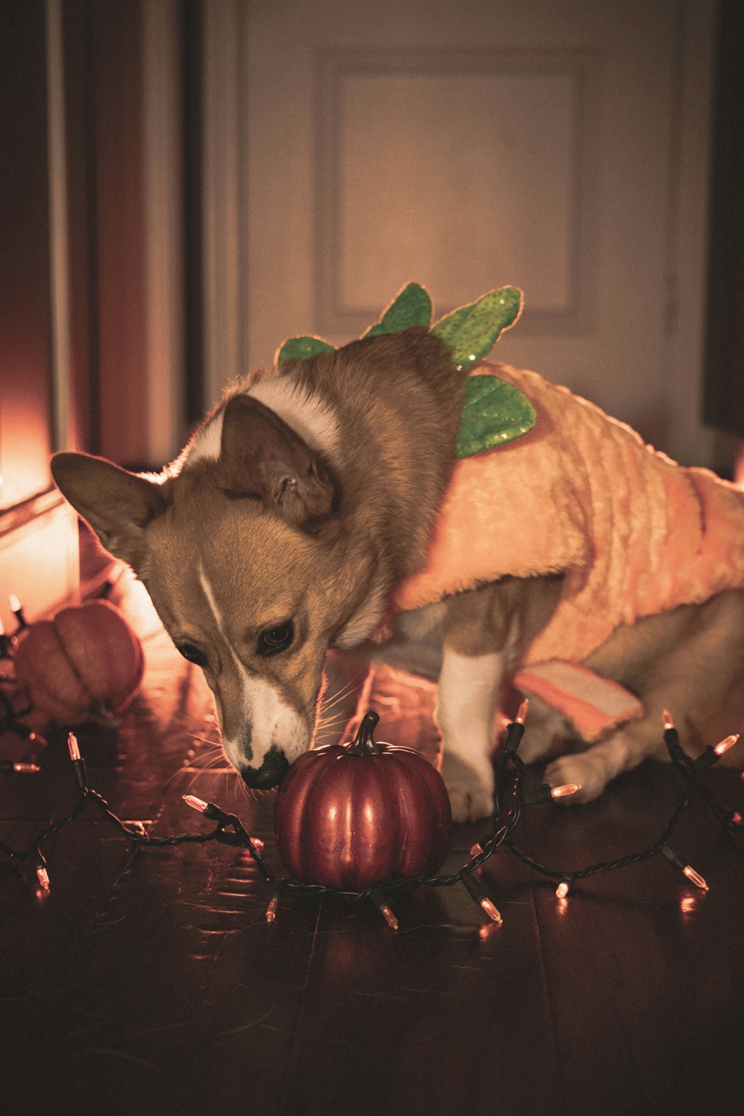 ハロウィンの迷子対策イメージ