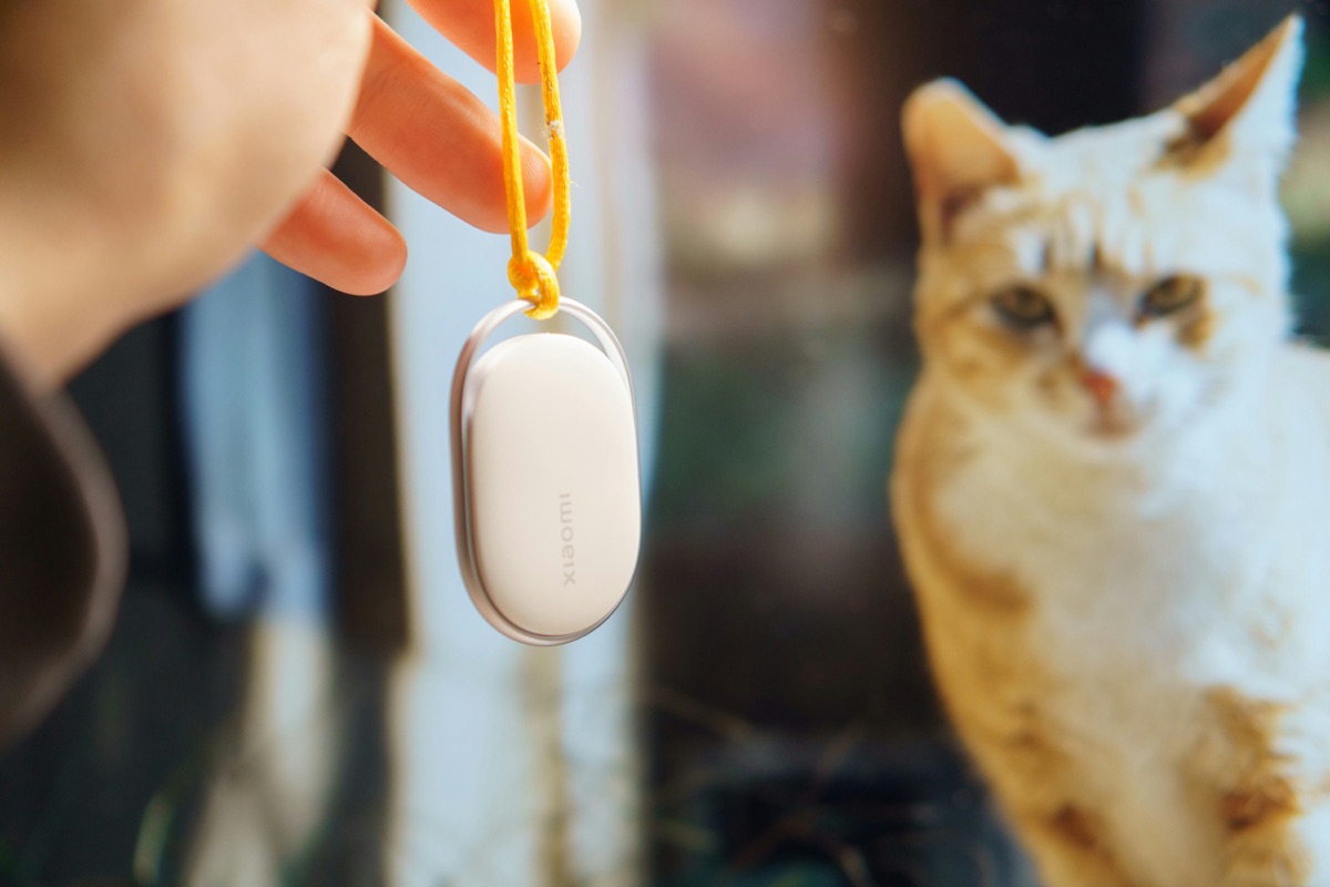 穏やかな表情の愛猫